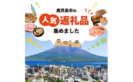 【全10回】鹿児島市うまいもん定期便！～ご当地の品セレクション～　K000-T2303