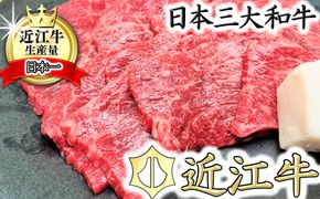 【総本家　肉のあさの】５等級近江牛焼肉用（もも・かた）【400ｇ】【AE11U】