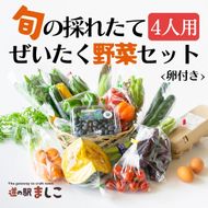 旬の採れたてぜいたく野菜セット（卵付き）4人用 益子町 ふるさと納税 野菜 やさい 野菜セット セット 卵 たまご 旬野菜 定期便(AA005)