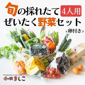 旬の採れたてぜいたく野菜セット（卵付き）4人用 益子町 ふるさと納税 野菜 やさい 野菜セット セット 卵 たまご 旬野菜 定期便(AA005)