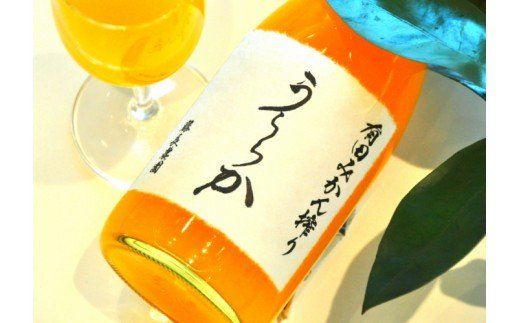 295. 有田みかん搾り「うららか」＆八朔ジュースセット（計6本）(A295-2)