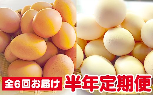 半年間6回 定期便】ひまわりたまご紅白セット 月1回（全6回