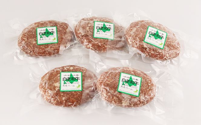  大人気！黒毛和牛手作りハンバーグセット≪敷島ファーム≫ BF003