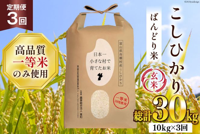 【3ヶ月定期便】【一等米100％】ばんどり米（コシヒカリ）玄米 10kg [農事組合法人東和 富山県 舟橋村 57050229]お米 美味しい こしひかり 富山 農家