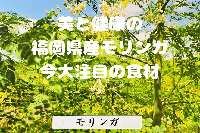 【C-145】モリンガ珈琲・オーガニック和紅茶・ほうじ茶・煎茶・モリンガパウダー