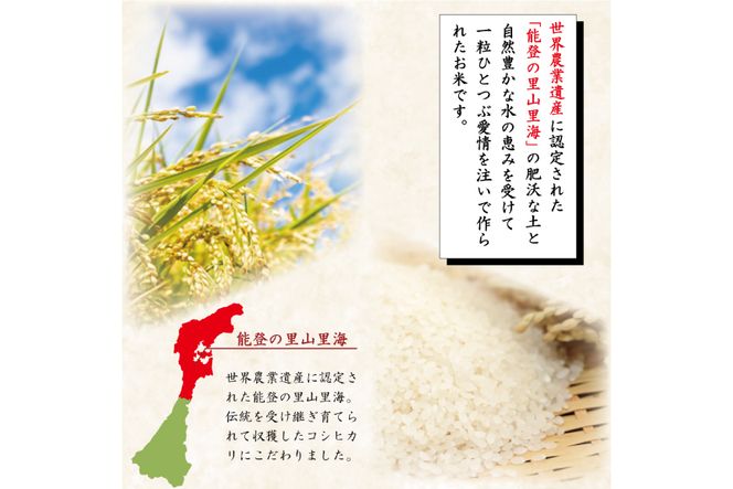 米 定期便 能登米 こしひかり 5kg ×3回 総計15kg [中橋商事 石川県 宝達志水町 38601206] コシヒカリ お米 コメ 3ヶ月 3か月 白米 精米 hurusatonouzei おこめ こめ