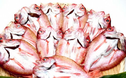 【訳あり】富山湾産　のどぐろ開き　計約1kg