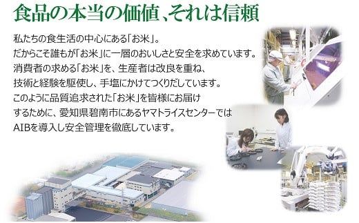 （数量限定）【すぐにお届け&日時指定可】 愛知県産コシヒカリ 5kg　こめ コメ ごはん 安心安全なヤマトライス 米 白米 国産 精米 5キロ 新米 令和7年 H074-687