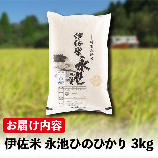 Z5-10 令和5年産 特別栽培米 伊佐米永池ひのひかり(3kg)鹿児島でも極良食味のお米が出来る永池地区で作ったお米！九州米サミット食味コンテスト最優秀賞2回受賞【エコファーム永池】