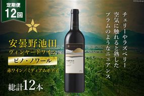 12回 定期便 赤ワイン サッポロ グランポレール 安曇野池田ヴィンヤード「ピノ・ノワール」750ml 総計12本 [池田町ハーブセンター 長野県 池田町 48110623] 赤 ワイン ミディアムボディ お酒 酒 