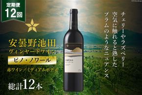 定期便 12回 赤ワイン サッポロ グランポレール 安曇野池田ヴィンヤード 「ピノ・ノワール」 750ml 総計 12本  [ナチュラルマルシェ ソヨソヨ 長野県 池田町 48110872]  赤 ワイン わいん 赤わいん フルボディ 濃厚 凝縮 