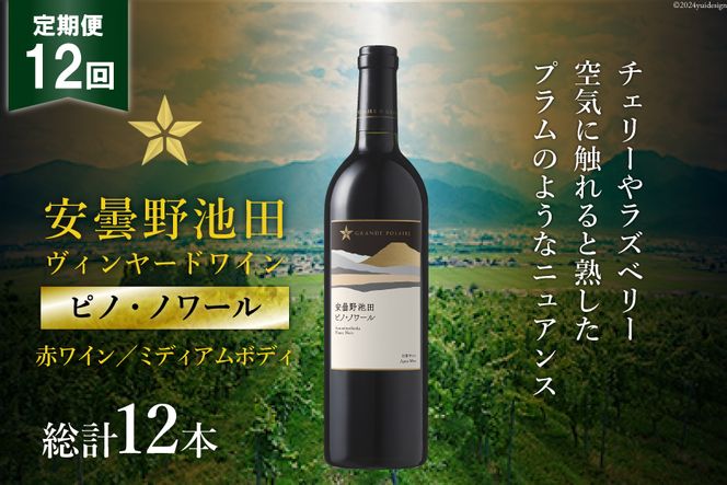 12回 定期便 赤ワイン サッポロ グランポレール 安曇野池田ヴィンヤード「ピノ・ノワール」750ml 総計12本 [池田町ハーブセンター 長野県 池田町 48110623] 赤 ワイン ミディアムボディ お酒 酒 