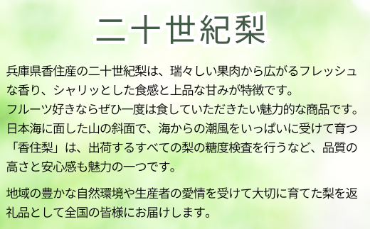 【先行予約】【梨 20世紀梨 香住梨 5kg 大きめ（1玉350g～500gを10～14玉）】大人気 ふるさと納税 おすすめ 返礼品 ランキング 二十世紀梨 シャキシャキの食感 ほどよい甘さとみずみず