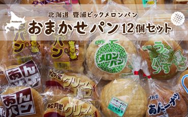 北海道 豊浦 ビックメロンパン おまかせパン12個セット TYUO009