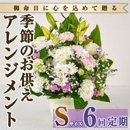 ＜定期便・6回(連続)＞季節のお供え用アレンジメント(生花：Sサイズ)生花 お花 花束 フラワー 植物 お供え 供花 仏花 命日 仏事 法事 贈り物【FM-21】【フラワーショップまつだ】