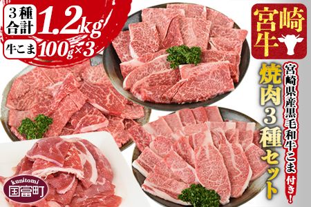 [宮崎牛 焼肉3種セット(ウデ・モモ・バラ)合計1.2kg + 宮崎県産黒毛和牛こま切れ 合計300g]1か月以内に順次出荷[a0380_my_x3]