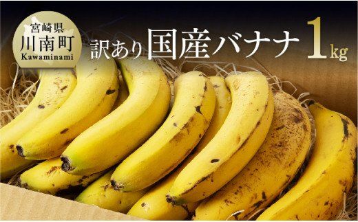 [訳あり]国産バナナ1kg(10本〜13本程度) [F5802]