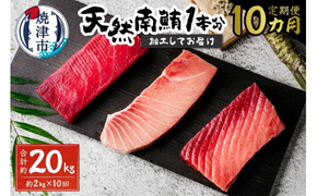 b650-003　【定期便 10回】天然南鮪1本分(約2kg)