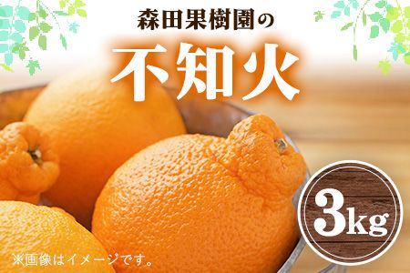 森田果樹園の不知火 3kg[2月中旬-4月下旬頃出荷予定]森田果樹園 果物 フルーツ 柑橘 熊本---sh_morisira_k24_24_13000_3kg---