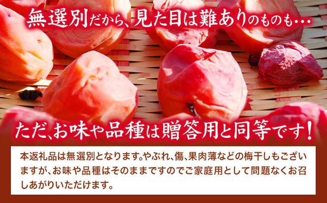 梅干し 紀州南高梅 使用 はちみつ うす塩味 完熟梅干し 無選別 1kg 《30日以内に出荷予定(土日祝除く)》日高町厳選館 和歌山県 日高町 梅干 梅 紀州 南高梅 はちみつ 蜂蜜 おかず 送料無料---wsh_genmhum_90d_22_13000_1kg---