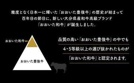 I-09 おおいた和牛ヒレステーキ 約150g×3枚 （計450g）