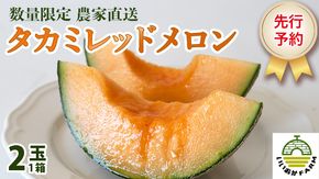 【 令和8年産 】【 先行予約 】タカミレッドメロン 秀品 1箱 2玉入り 飯岡 メロン 貴味 タカミ 赤肉 果物 フルーツ 甘い [CG002ya]