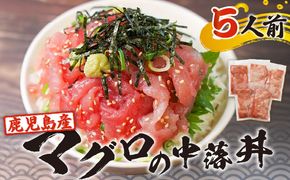 鹿児島産マグロの中落丼 5人前　K100-004