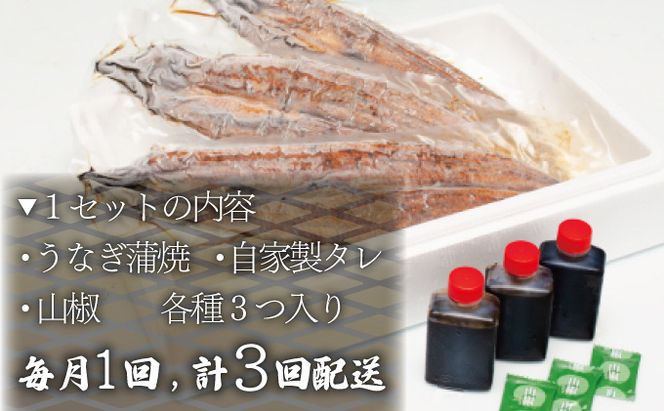 うなぎ蒲焼 3尾セット 合計600g以上 (定期便3回) H-301