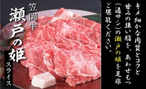 B-08 瀬戸の姫（スライス）《45日以内に出荷予定(土日祝除く)》