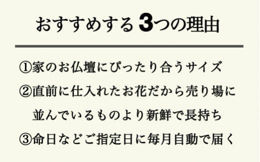 【月1回・12ヶ月定期便】サイズで選べるお供え花の定期便（一束）年12回 ※北海道・沖縄・離島への配送不可