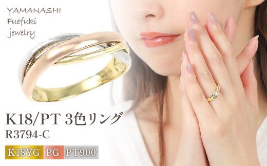 yRJszK18/PT 3FO@R3794-C  188-013