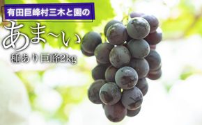 有田巨峰村三木と園のあま～い種あり巨峰2kg BR07