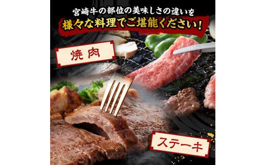 宮崎牛 堪能セット 【スペシャル】 合計1.6kg【 肉 牛肉 国産 宮崎県産 黒毛和牛 和牛 モモスライス カルビ 】[D11414]