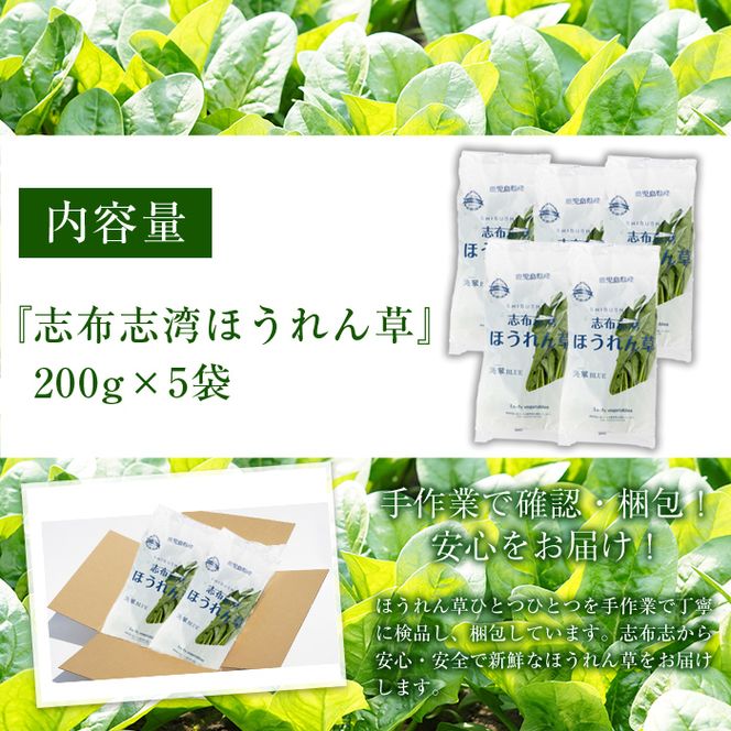 【数量限定】志布志湾ほうれん草(200g×5袋 合計1kg) a1-032