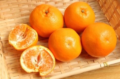 和歌山 有田の 濃厚 はるみ 約4kg（2L又は3Lサイズ）［先行予約］［MS83w］ 	AO048