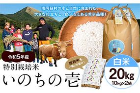 令和5年産 特別栽培米 いのちの壱(白米) 20kg(10kg×2袋) 雑穀米付き《90日以内に出荷予定(土日祝を除く)》 熊本県 南阿蘇村 熊本県産 虹色のかば 白米 雑穀米---sms_nnktmiih5_90d_22_50000_20kg---