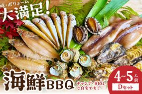 大満足！京丹後・海鮮BBQ　Dセット　贅沢アワビ付　6種22品（4～5人前）　YK00369