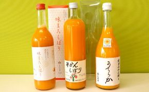 521.【Bセット】有田市認定みかんジュース飲み比べ3本セット(A521-2)