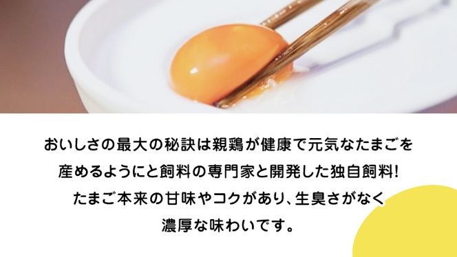 【 お歳暮 】紅プレミアム 卵 と 紅たまご 食べ比べ セット 50個 （ 各 20個 入り ＋ 割れ保障  各 5個 ） 熨斗付き 御歳暮  独自飼料 濃厚 おいしい玉子 玉子 たまご サンサンエッグ タンパク質 [CX06-NT]