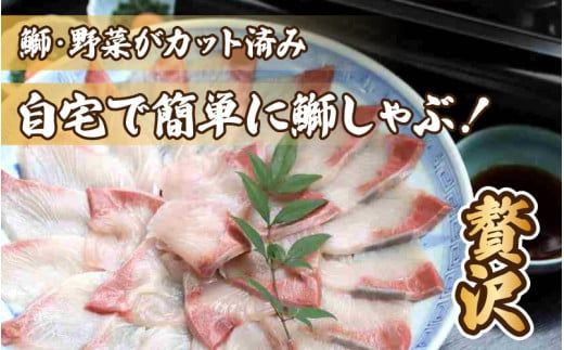 【先行予約】ぶりしゃぶセット 2人前 カット野菜・だし汁・薬味付 【2025年11月中旬より順次発送】