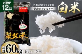 【定期便】【12回 米 定期便 】 武川米 コシヒカリ 5kg×12回 総計60kg [梨北農業協同組合 山梨県 韮崎市 20743673] こしひかり お米 おこめ こめ コメ 精米 60キロ ご飯 ごはん 白米 国産 JA梨北
