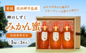 【みかん蜜】みかん農園のはちみつ 1kg×3本入｜ 愛媛県産 伊方町特産品 佐田岬 大岩農園 岬のしずく 蜂蜜 みかん蜜 純国産 無添加 自然の恵み ※離島への配送不可