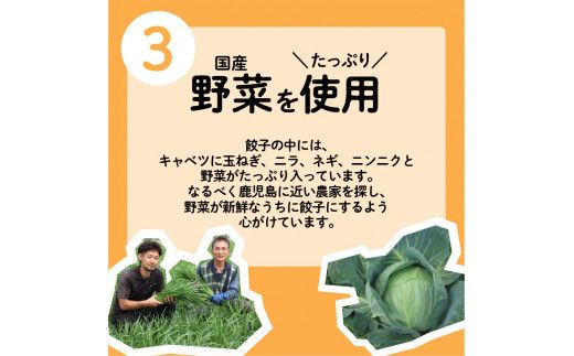 ちゃこばあちゃんの黒豚入りうんまか・しそ生餃子　計48個入り　K027-004