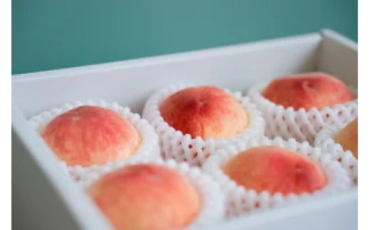 【2026年発送★先行予約】果物王国　笛吹市産の桃　1.6kg以上　5～8玉 168-002-26y