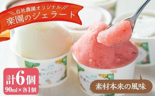 農園ガーデン空楽園のジェラートセット(90ml×6個)ジェラート アイス いちご いちごミルク レモン チョコチップ ミルク ココアミルク デザート スイーツ おやつ 夏 鹿児島 【農園ガーデン空】a-11-3