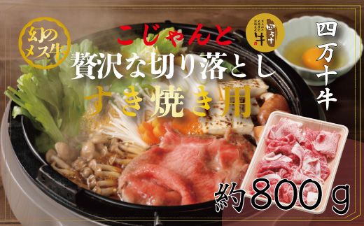 yml\szR5-018DґȐ؂藎Ƃiėpjv800