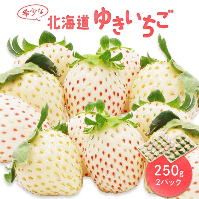 北海道産】ゆきいちご（白いちご）ゆきぼたん 2Pセット 250g×2 計500g