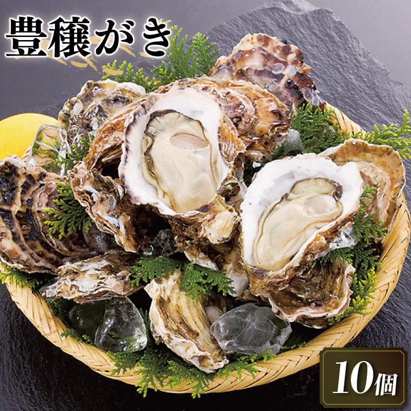 岩手県赤崎産 豊穣かき(生食用冷凍牡蠣)10個 大ぶりサイズ 牡蠣 冷凍 個包装 殻付き牡蠣 [56500506_1]