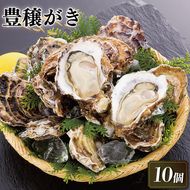 豊穣かき 10個 生食用 冷凍 かき 牡蠣 カキ  オイスター oyster アヒージョ バーベキュー BBQ フライ 揚げ物 鍋 ごはん 夕飯 おかず おつまみ 晩酌 米 丼 海産物 海鮮 魚介 魚介類 贈答品 お中元 大船渡 三陸 岩手県 国産 【56500506_1】