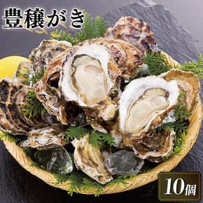 岩手県赤崎産 豊穣かき（生食用冷凍牡蠣）10個 大ぶりサイズ 牡蠣 冷凍 個包装 殻付き牡蠣 【56500506_1】